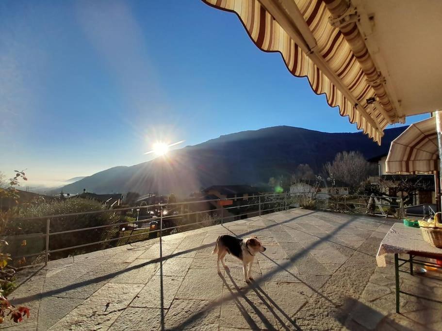 Holiday home Le Tre Sorelle